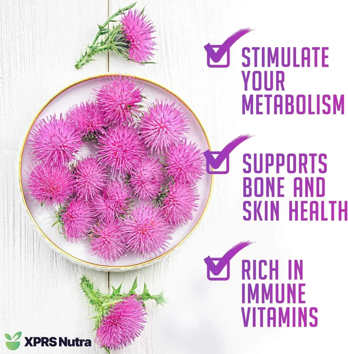 XPRS NUTRA - XPRS Nutra Organic Milk Thistle Seed Powder 113Gr. - The Red Vitamin MX - Suplementos Alimenticios - {{ shop.shopifyCountryName }}
