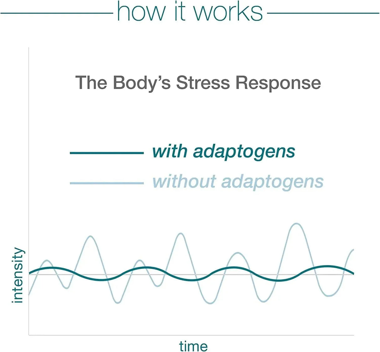 YOUTHEORY - Youtheory Ashwagandha 60 Capsulas - The Red Vitamin MX - Suplementos Alimenticios - {{ shop.shopifyCountryName }}