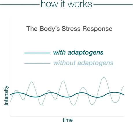 YOUTHEORY - Youtheory Ashwagandha 60 Capsulas - The Red Vitamin MX - Suplementos Alimenticios - {{ shop.shopifyCountryName }}