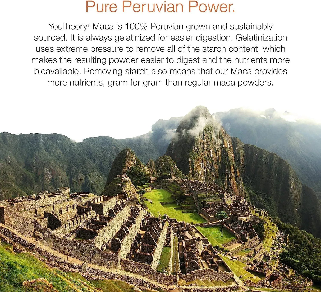 YOUTHEORY - Youtheory Women's Maca Root 120 Capsulas - The Red Vitamin MX - Suplementos Alimenticios - {{ shop.shopifyCountryName }}