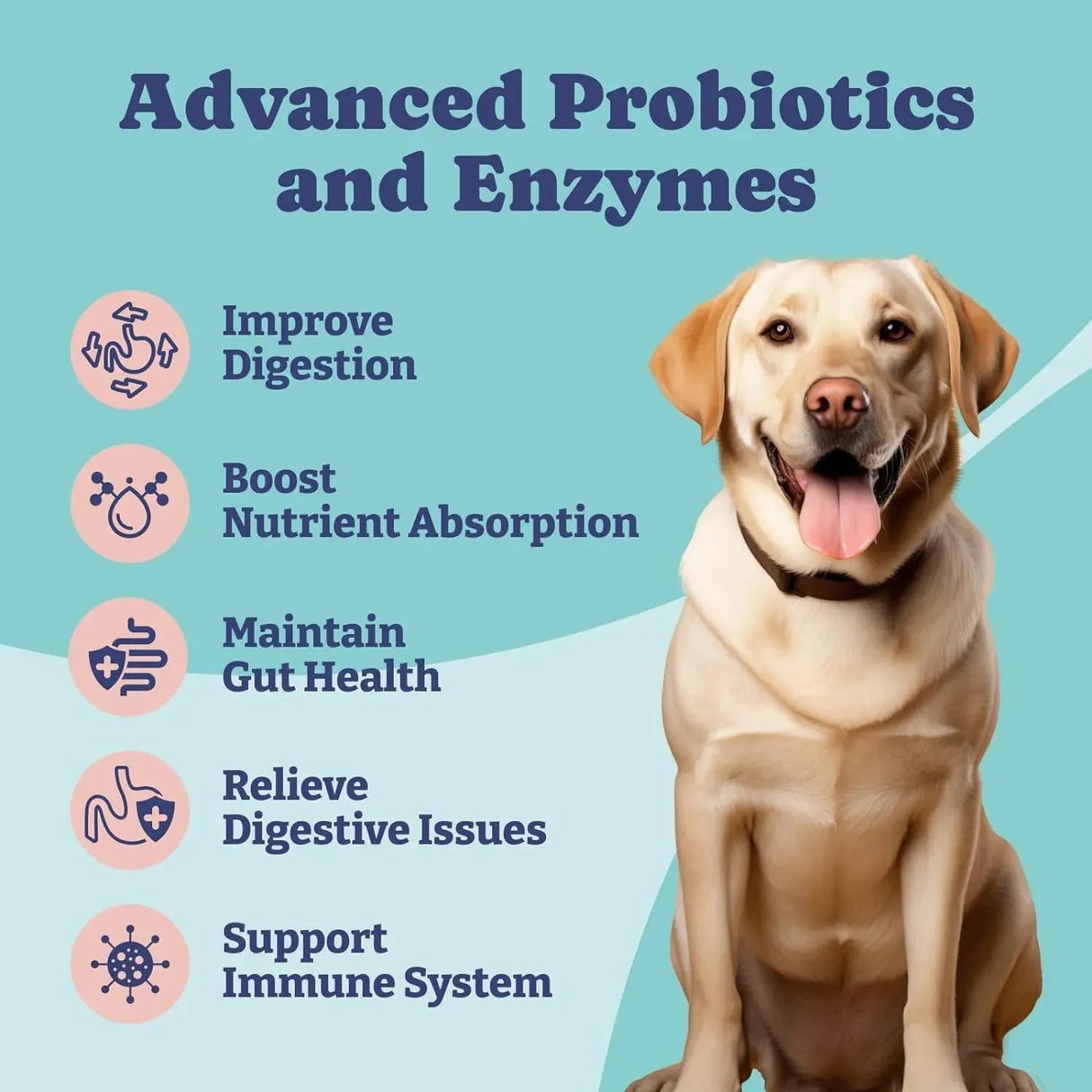 YOYOBAY - YoYoBay Probiotics and Digestive Enzymes for Dogs 90 Masticables - The Red Vitamin MX - Probióticos Para Perros - {{ shop.shopifyCountryName }}