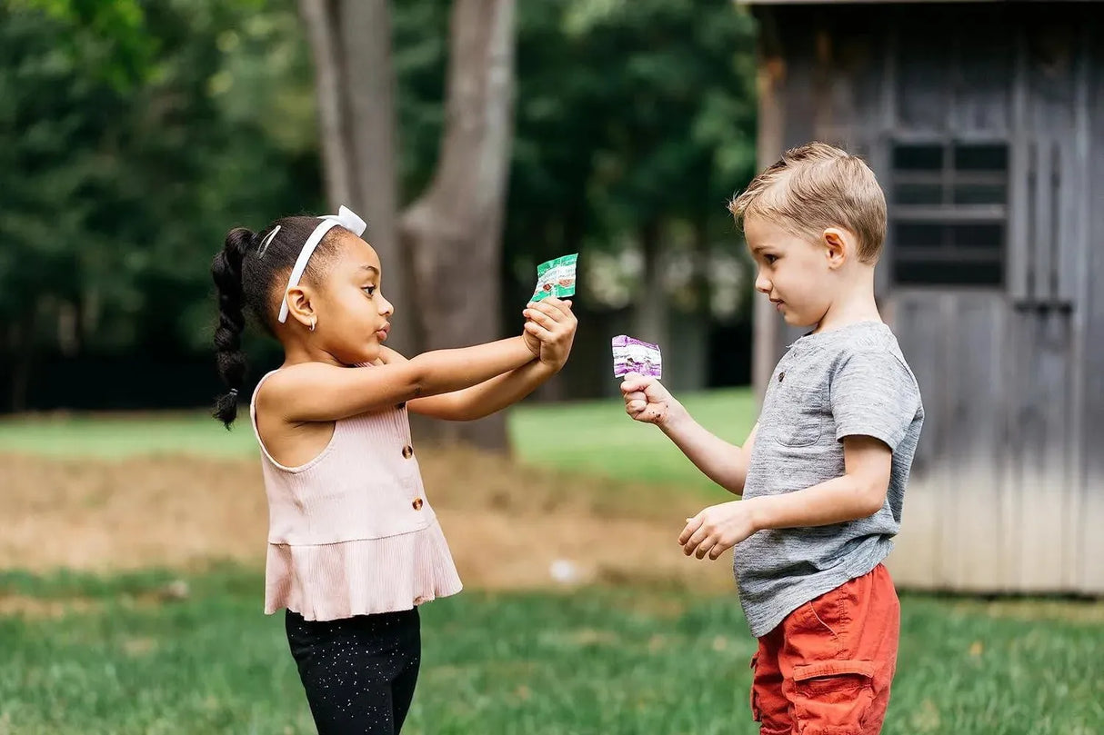 YUM EARTH - YumEarth Organic Vitamin C Pops Variety Pack 60 Paletas - The Red Vitamin MX - Suplementos Alimenticios - {{ shop.shopifyCountryName }}