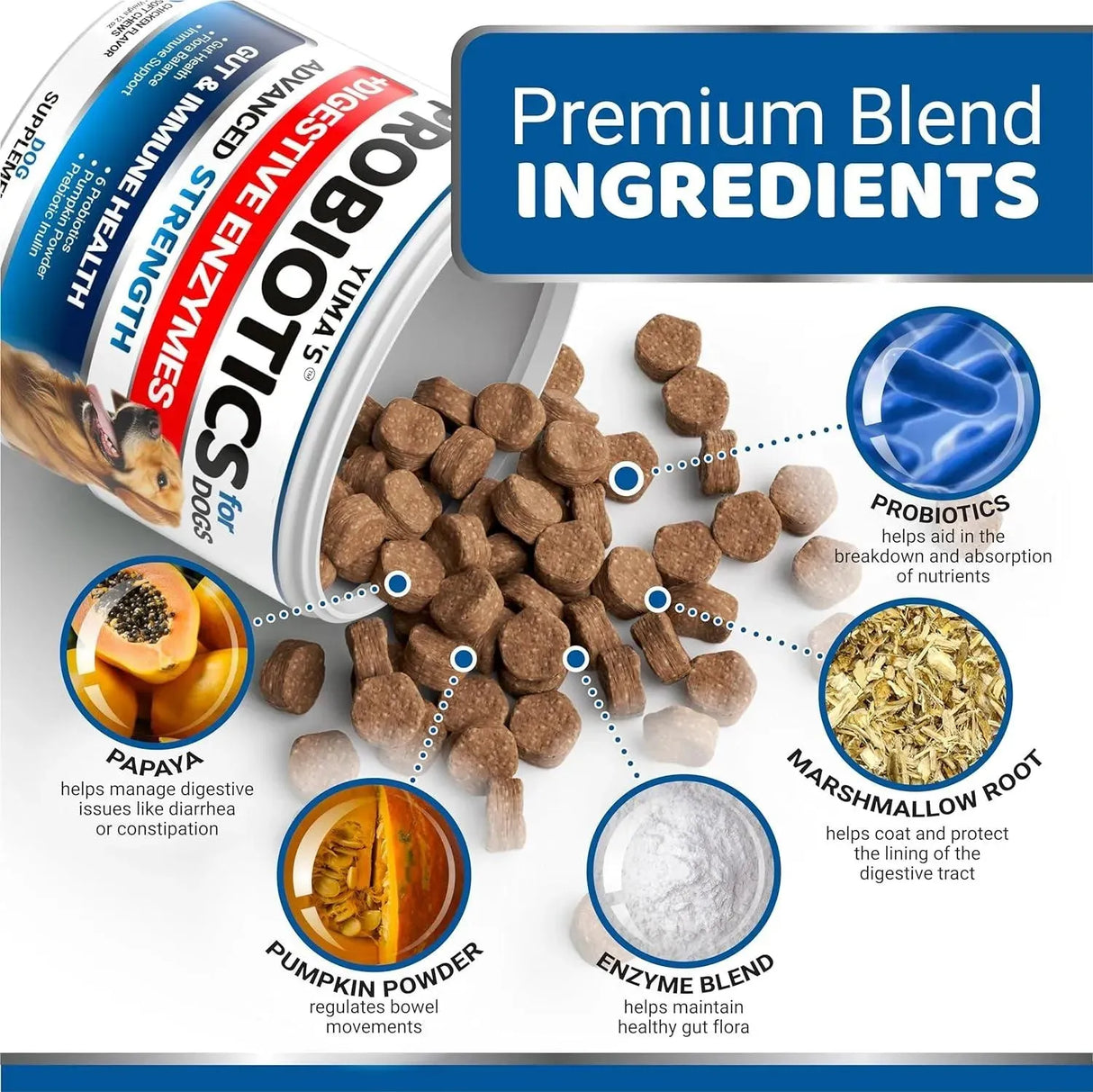 YUMA'S - YUMA'S Probiotics for Dogs and Digestive Enzymes 170 Masticables - The Red Vitamin MX - Probióticos Para Perros - {{ shop.shopifyCountryName }}