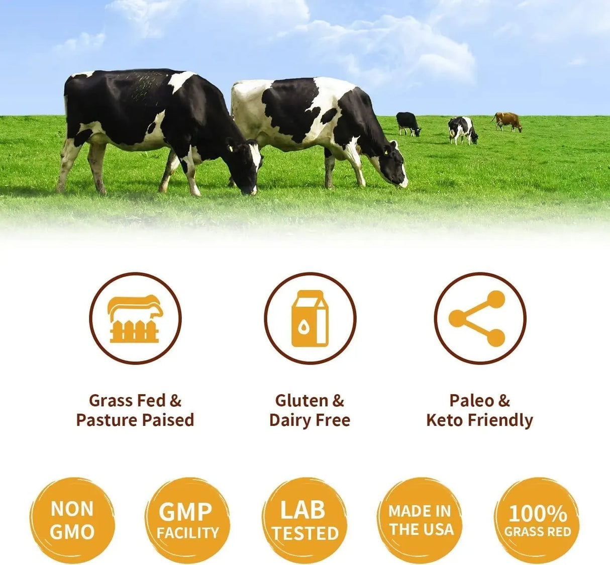 ZAMMEX - Zammex 100% Grass-Fed Beef Bone Broth Protein Powder 300Gr. - The Red Vitamin MX - Suplementos Alimenticios - {{ shop.shopifyCountryName }}