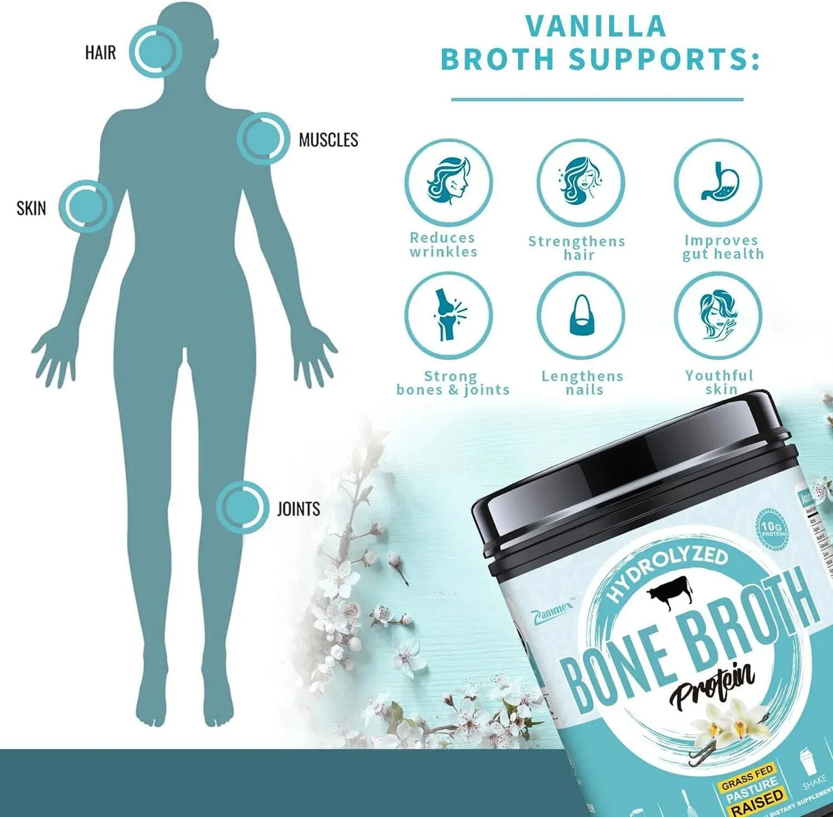 ZAMMEX - Zammex Bone Broth Protein Powder Vanilla Flavor 454Gr. - The Red Vitamin MX - Suplementos Alimenticios - {{ shop.shopifyCountryName }}