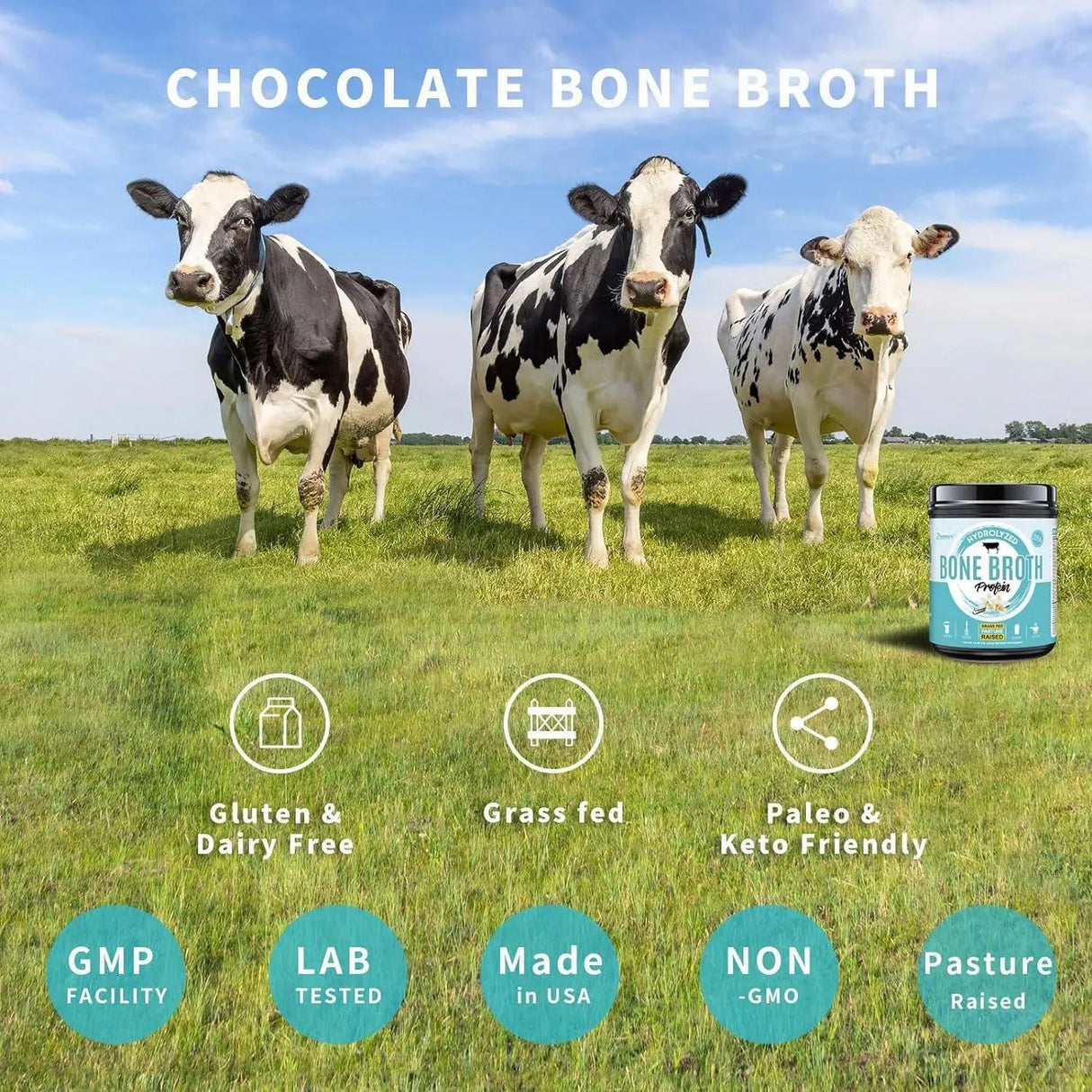 ZAMMEX - Zammex Bone Broth Protein Powder Vanilla Flavor 454Gr. - The Red Vitamin MX - Suplementos Alimenticios - {{ shop.shopifyCountryName }}