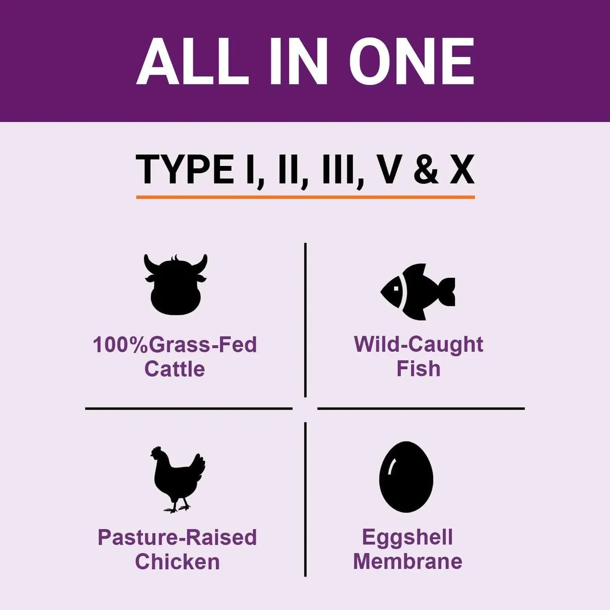 ZAMMEX - Zammex Multi Collagen Peptides 600Gr. - The Red Vitamin MX - Suplementos Alimenticios - {{ shop.shopifyCountryName }}