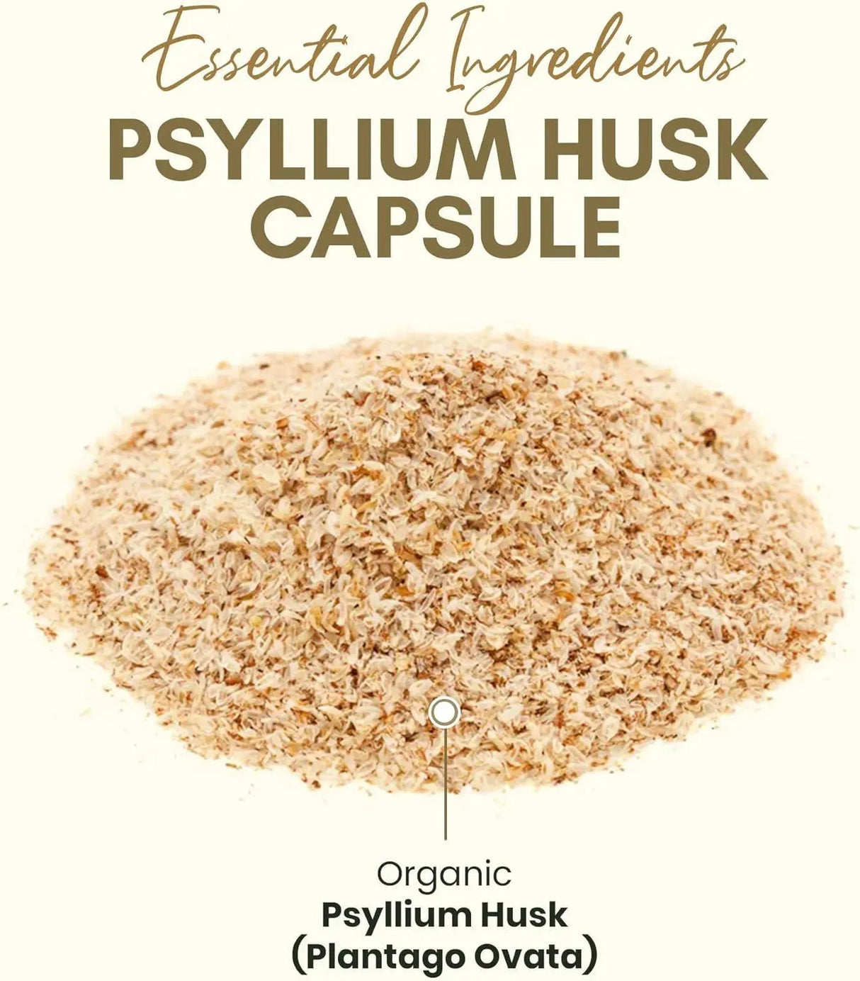 ZEALTHY - Zealthy Life Psyllium Husk 250 Capsulas - The Red Vitamin MX - Suplementos Alimenticios - {{ shop.shopifyCountryName }}