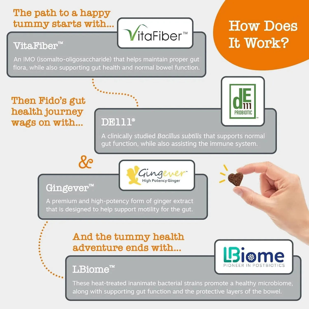 ZESTY PAWS - Zesty Paws Pre, Post & Probiotic Bites Chicken & Vegetable 90 Masticables - The Red Vitamin MX - Probióticos Para Perros - {{ shop.shopifyCountryName }}