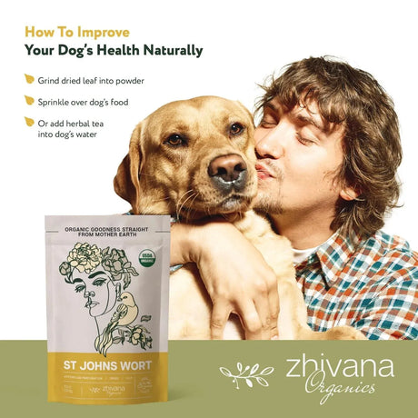 ZHIVANA ORGANICS - Zhivana Organics St Johns Wort Herb 283Gr. - The Red Vitamin MX - Suplementos Alimenticios - {{ shop.shopifyCountryName }}