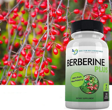 DOCTOR RECOMMENDED SUPPLEMENTS - Doctor Recommended Supplements Berberine Plus 1200Mg. 120 Capsulas - The Red Vitamin MX - Suplementos Alimenticios - {{ shop.shopifyCountryName }}
