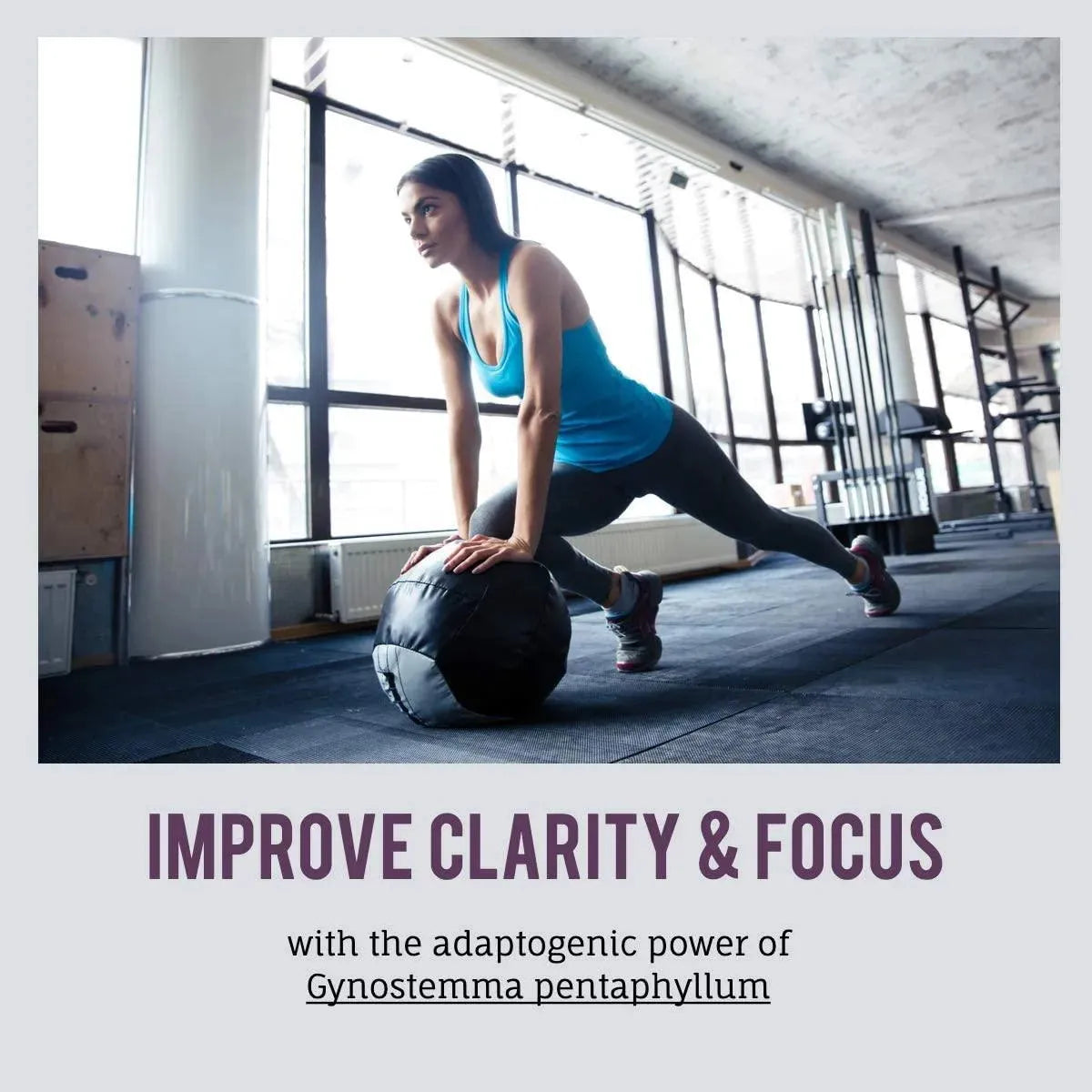 IMMORTALITEA - Immortalitea Jiaogulan Leaf 500Mg. 100 Capsulas - The Red Vitamin MX - Suplementos Alimenticios - {{ shop.shopifyCountryName }}