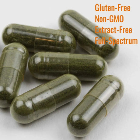 IMMORTALITEA - Immortalitea Jiaogulan Leaf 500Mg. 100 Capsulas - The Red Vitamin MX - Suplementos Alimenticios - {{ shop.shopifyCountryName }}