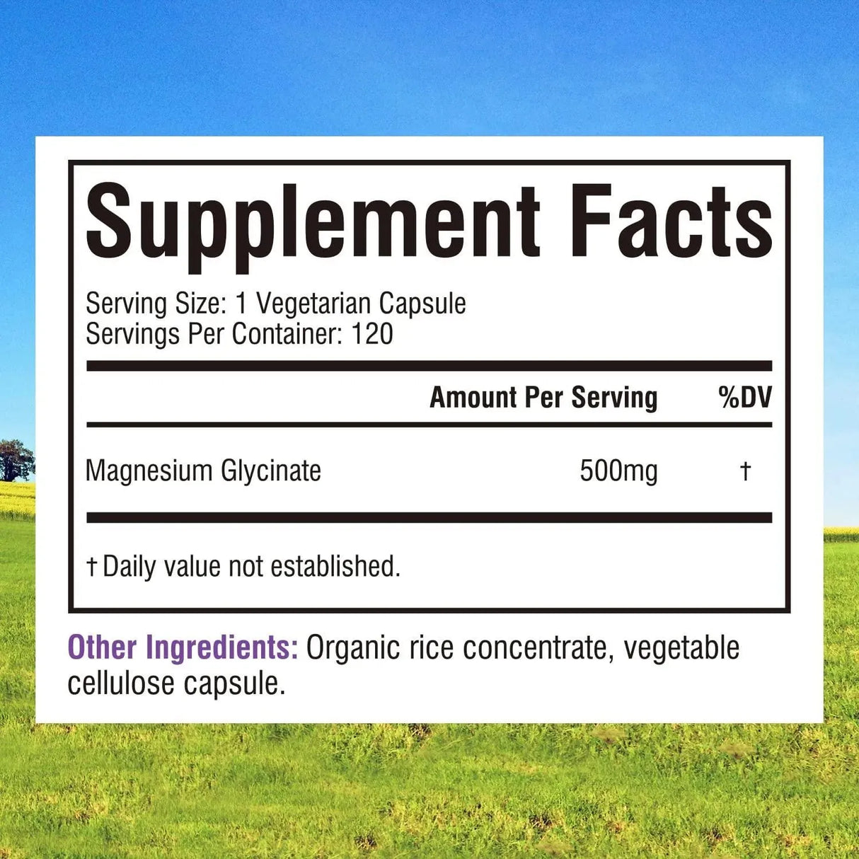 INNATE VITALITY - Innate Vitality Magnesium Glycinate Chelated for Maximum Absorption 500Mg. 120 Capsulas - The Red Vitamin MX - Suplementos Alimenticios - {{ shop.shopifyCountryName }}