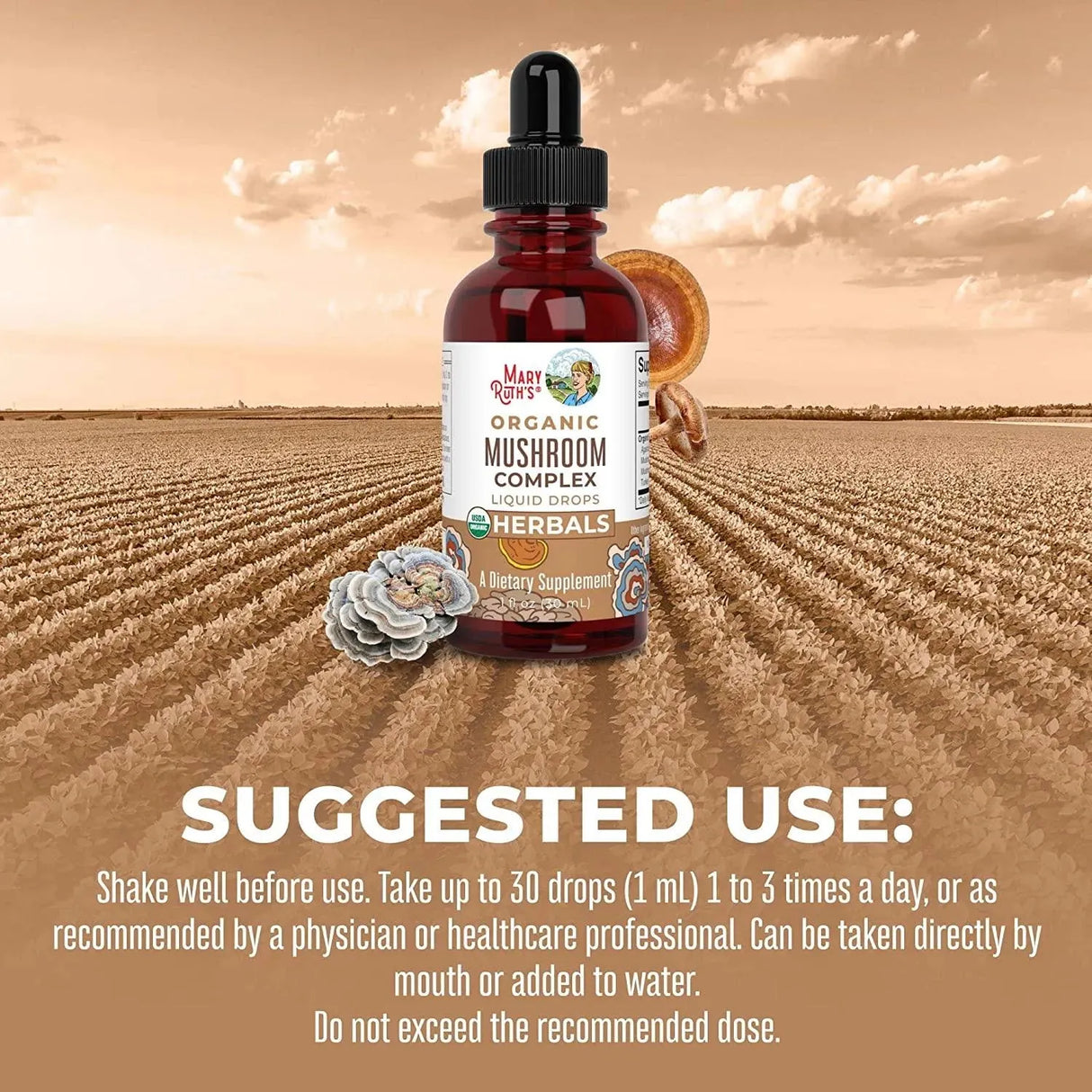 MARY RUTH ORGANICS - Mary Ruth Organics Mushroom Complex 1Oz. - The Red Vitamin MX - Suplementos Alimenticios - {{ shop.shopifyCountryName }}