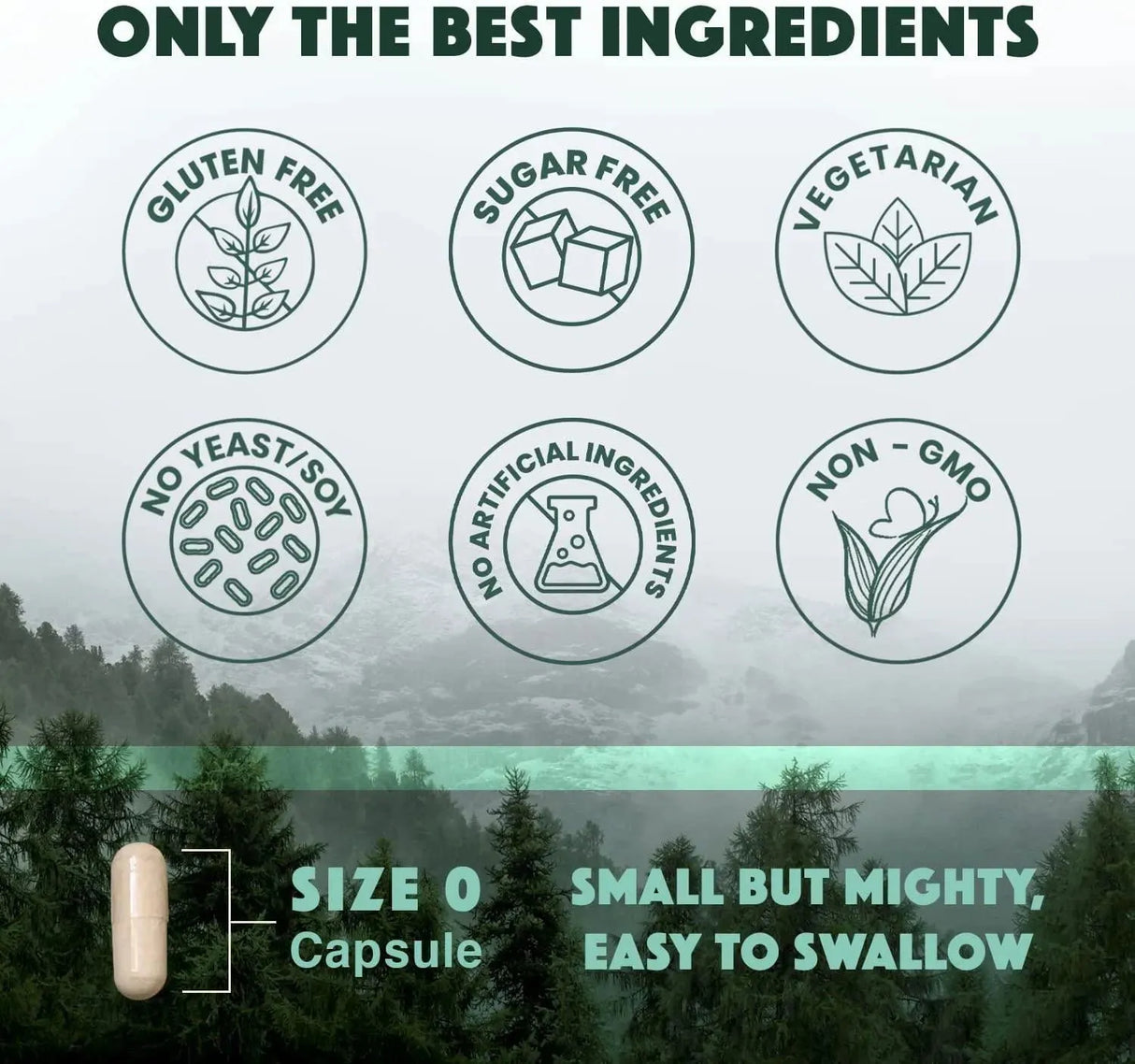 NATURAL RHYTHM - Natural Rhythm Triple Calm Magnesium 150Mg. 120 Capsulas - The Red Vitamin MX - Suplementos Alimenticios - {{ shop.shopifyCountryName }}