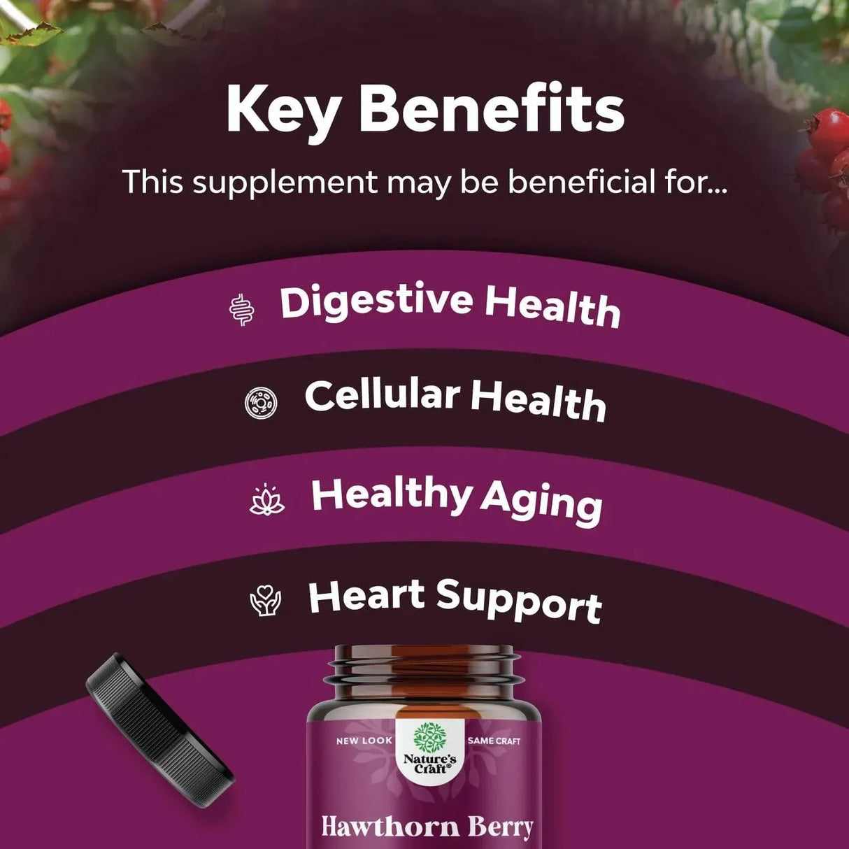 NATURES CRAFT - Natures Craft Hawthorn Berry Extra Strength 120 Capsulas - The Red Vitamin MX - Suplementos Alimenticios - {{ shop.shopifyCountryName }}