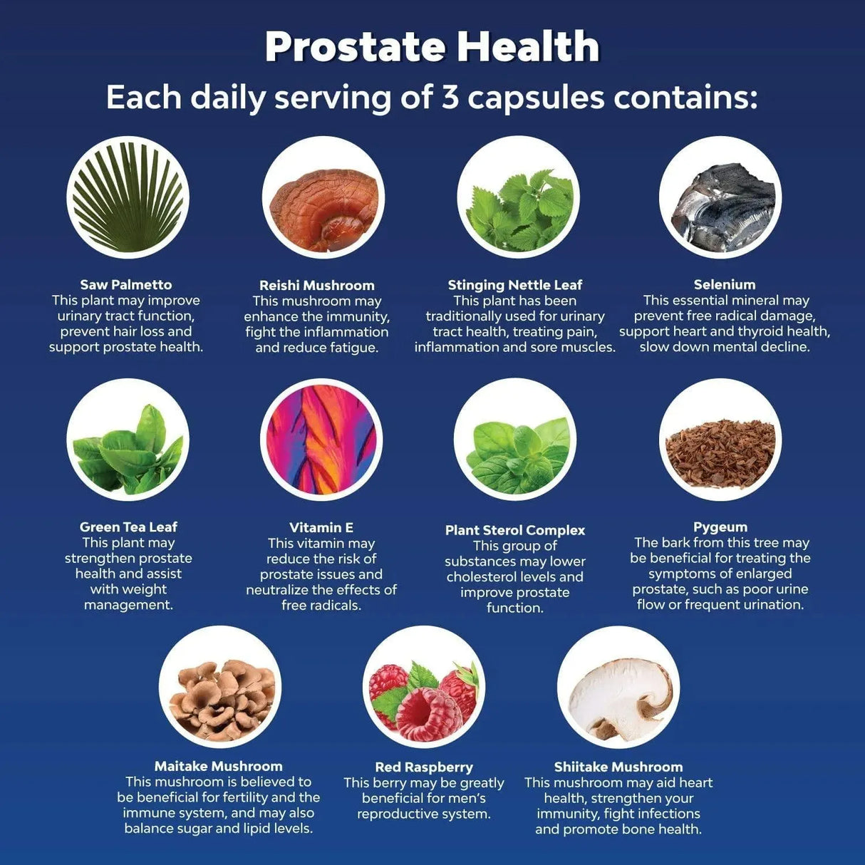 NATURES CRAFT - Natures Craft Prostate Support 90 Capsulas - The Red Vitamin MX - Suplementos Alimenticios - {{ shop.shopifyCountryName }}