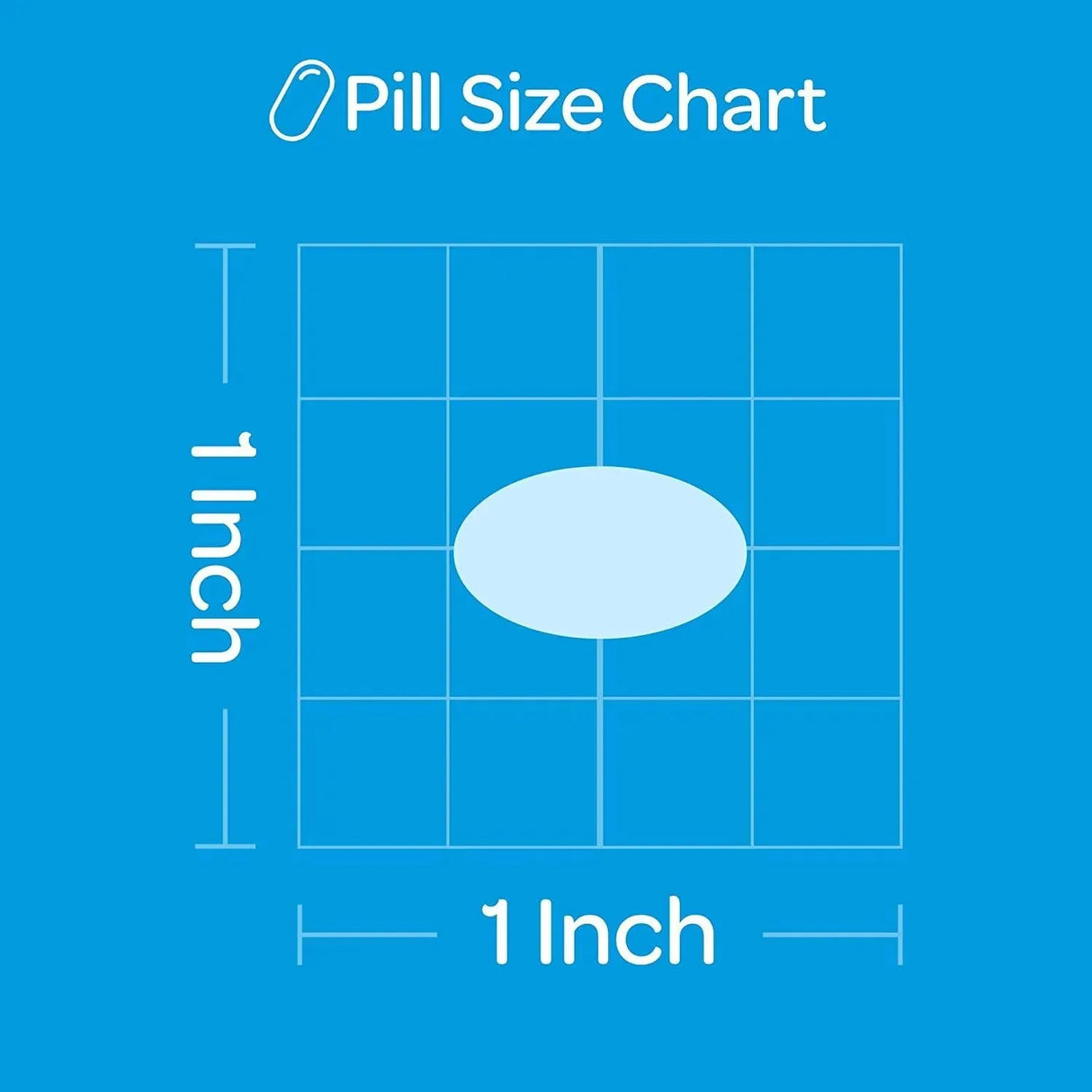 PURITAN'S PRIDE - Puritan's Pride Odorless Garlic 1000Mg. 250 Capsulas Blandas - The Red Vitamin MX - Suplementos Alimenticios - {{ shop.shopifyCountryName }}