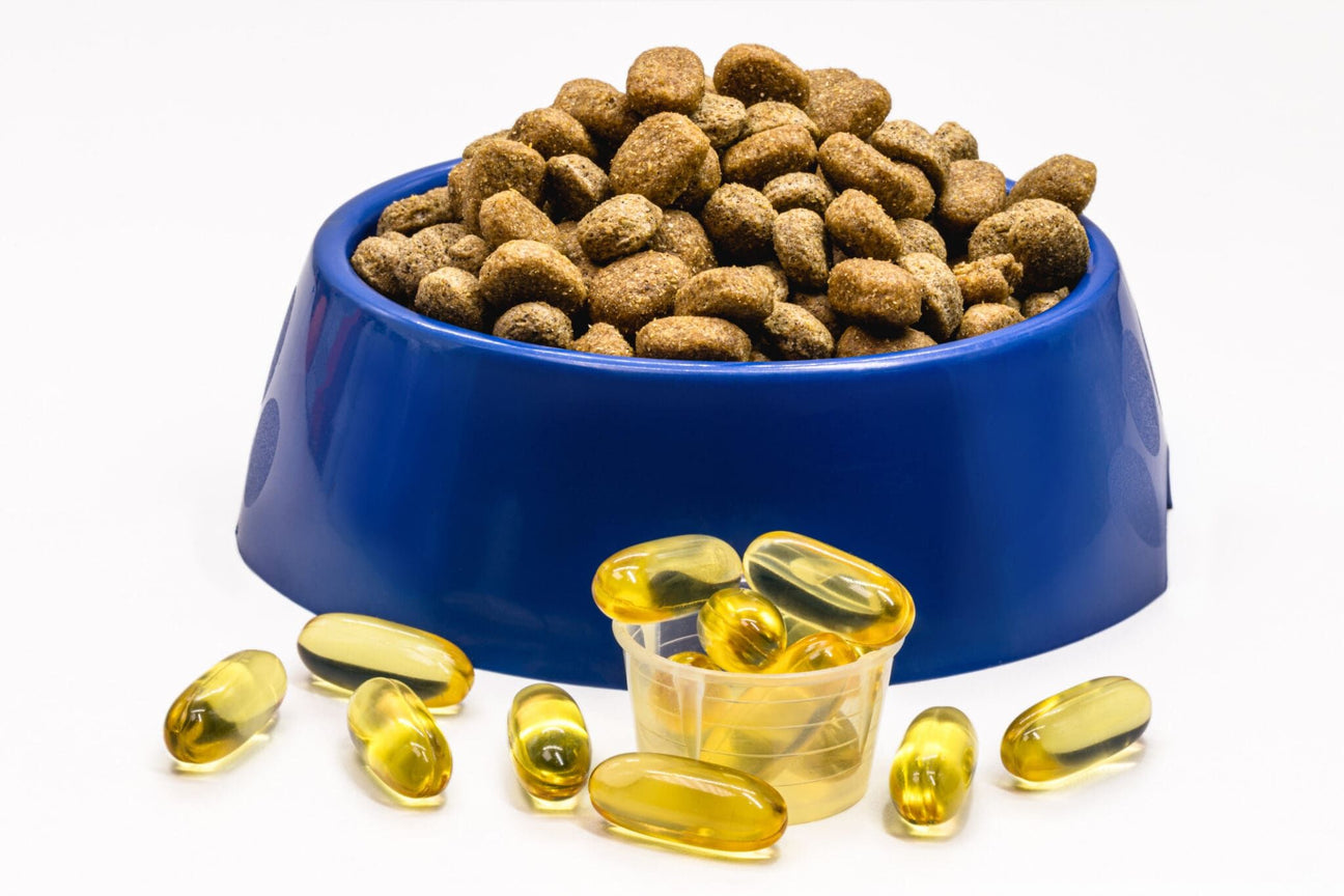 Aceite De Pescado Para Perros