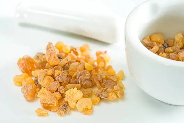 Boswellia Serrata - The Red Vitamin MX - {{ shop.shopifyCountryName }}