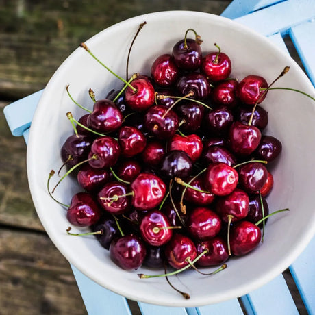Cereza Ácida - The Red Vitamin MX - {{ shop.shopifyCountryName }}