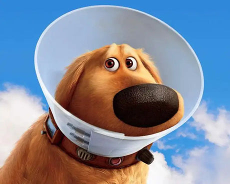 Collares y Conos De Recuperación Para Perros - The Red Vitamin MX - {{ shop.shopifyCountryName }}