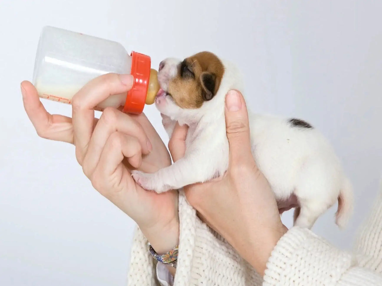 Sustitutos De Leche Para Perros - The Red Vitamin MX - {{ shop.shopifyCountryName }}