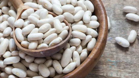 Frijol Blanco - The Red Vitamin MX - {{ shop.shopifyCountryName }}