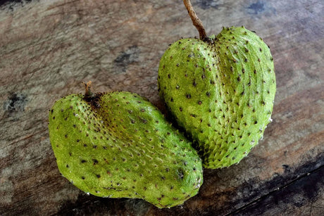 Graviola - The Red Vitamin MX - {{ shop.shopifyCountryName }}