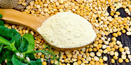 Proteína De Chícharo - The Red Vitamin MX - {{ shop.shopifyCountryName }}