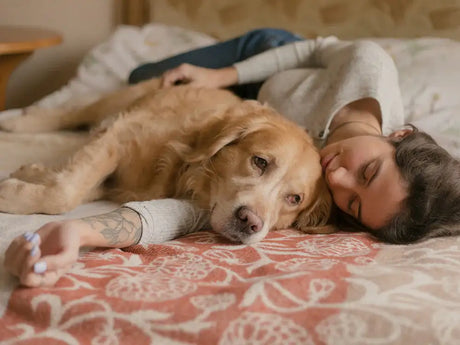 Relajantes Para Perros - The Red Vitamin MX - {{ shop.shopifyCountryName }}
