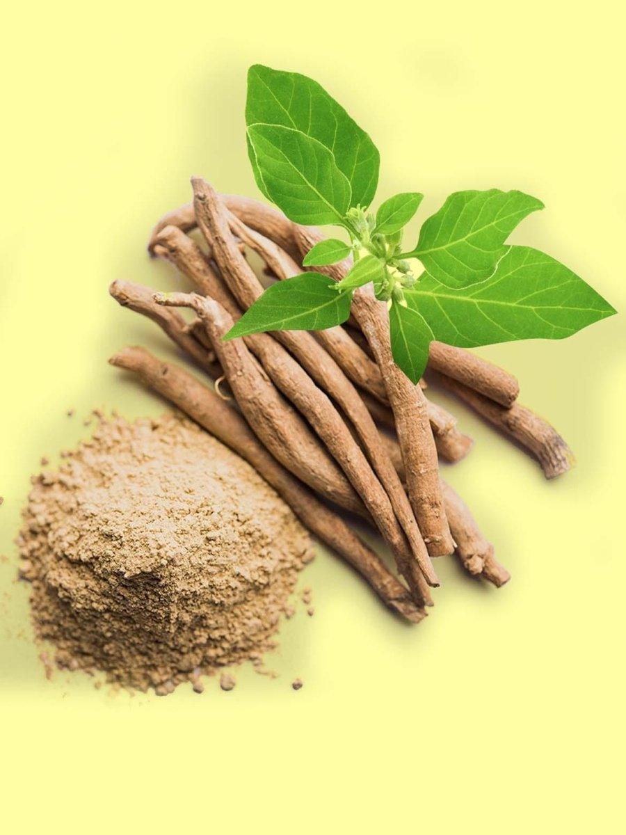 Ashwagandha - The Red Vitamin MX - {{ shop.shopifyCountryName }}