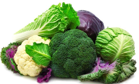 Crucífero - The Red Vitamin MX - {{ shop.shopifyCountryName }}