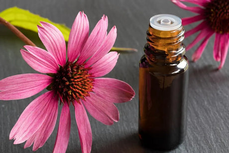 Equinácea - The Red Vitamin MX - {{ shop.shopifyCountryName }}