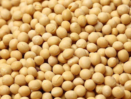 Espermidina - The Red Vitamin MX - {{ shop.shopifyCountryName }}