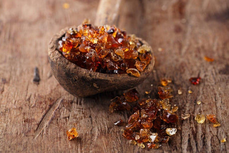 Fibra De Acacia - The Red Vitamin MX - {{ shop.shopifyCountryName }}