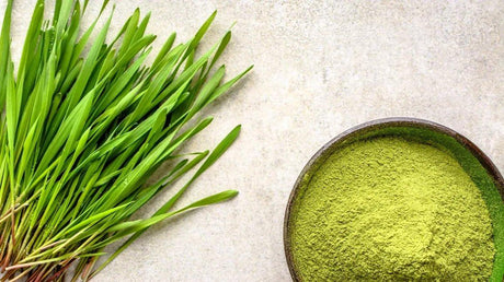 Hierba De Cebada - The Red Vitamin MX - {{ shop.shopifyCountryName }}
