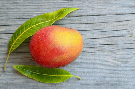 Mango Africano - The Red Vitamin MX - {{ shop.shopifyCountryName }}
