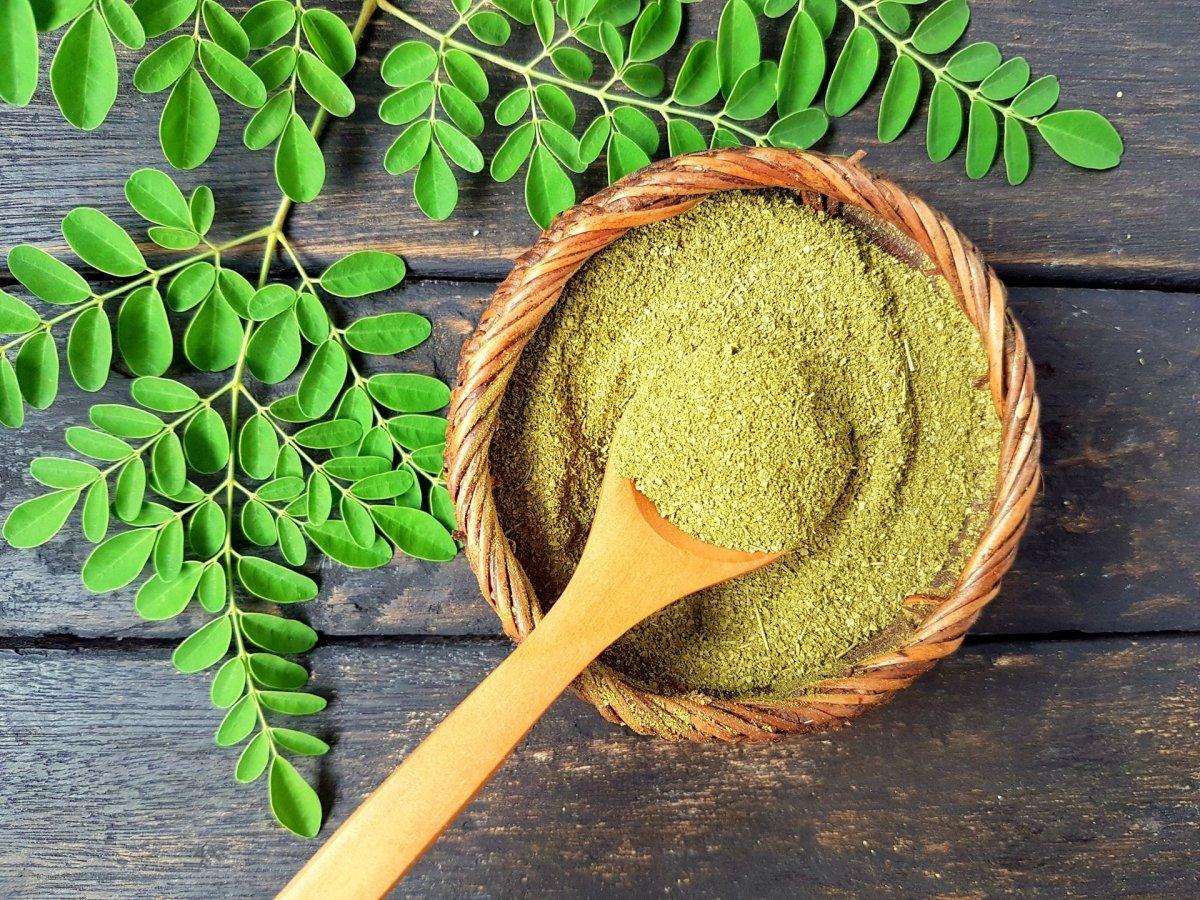 Moringa - The Red Vitamin MX - {{ shop.shopifyCountryName }}