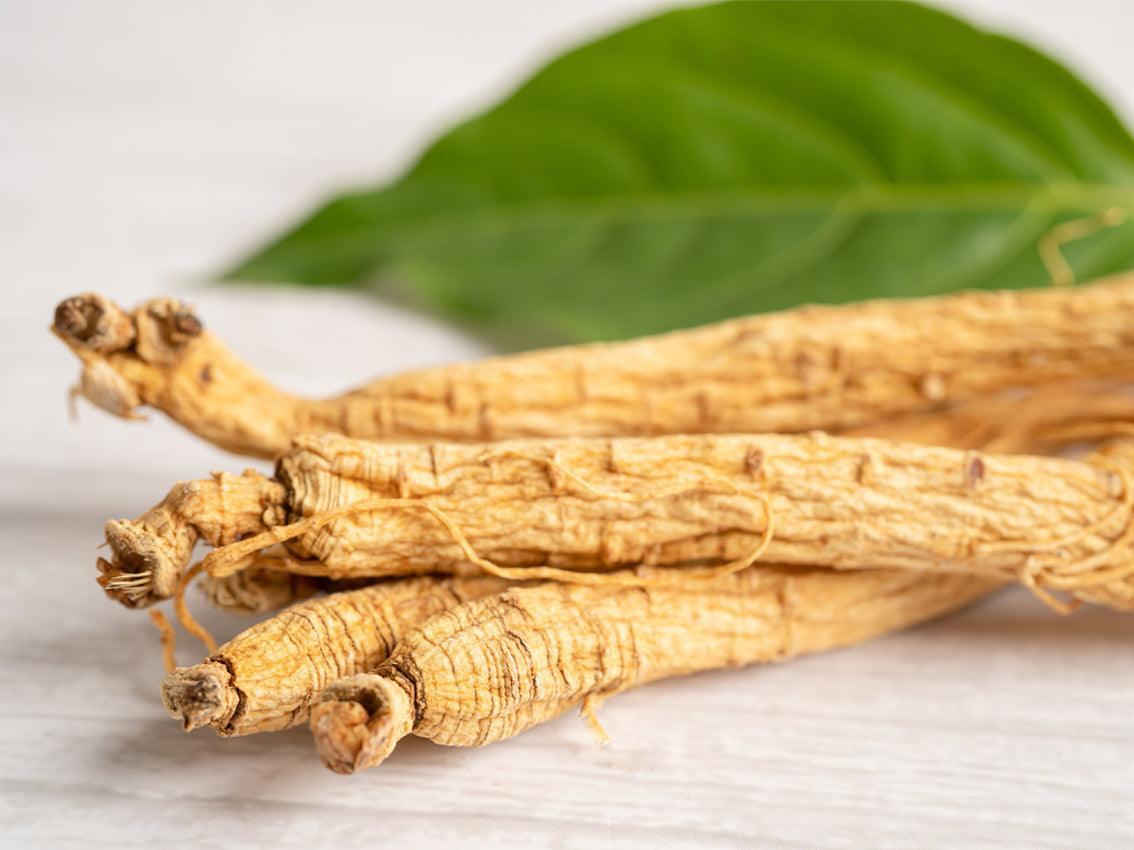 Panax Ginseng Coreano - The Red Vitamin MX - {{ shop.shopifyCountryName }}