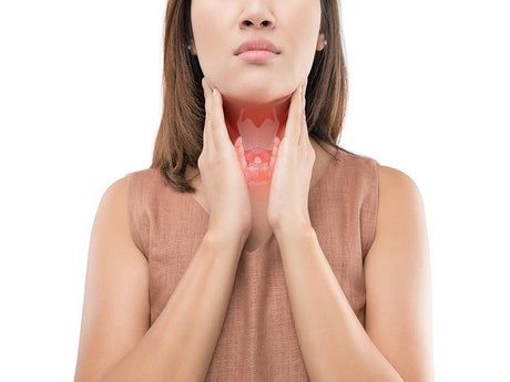 Soporte De Tiroides - The Red Vitamin MX - {{ shop.shopifyCountryName }}