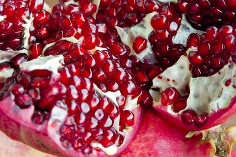 Urotilina - The Red Vitamin MX - {{ shop.shopifyCountryName }}