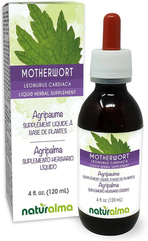 NATURALMA - Naturalma Motherwort Alcohol-Free Tincture 4 Fl.Oz. - The Red Vitamin MX - Suplementos Alimenticios - {{ shop.shopifyCountryName }}