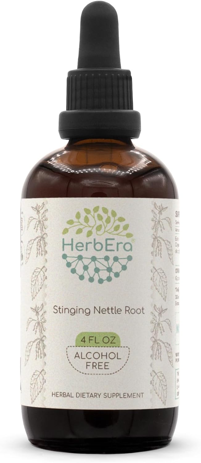 HerbEra Stinging Nettle Root B60 Alcohol-Free Herbal Extract Tincture 4 Fl.Oz.