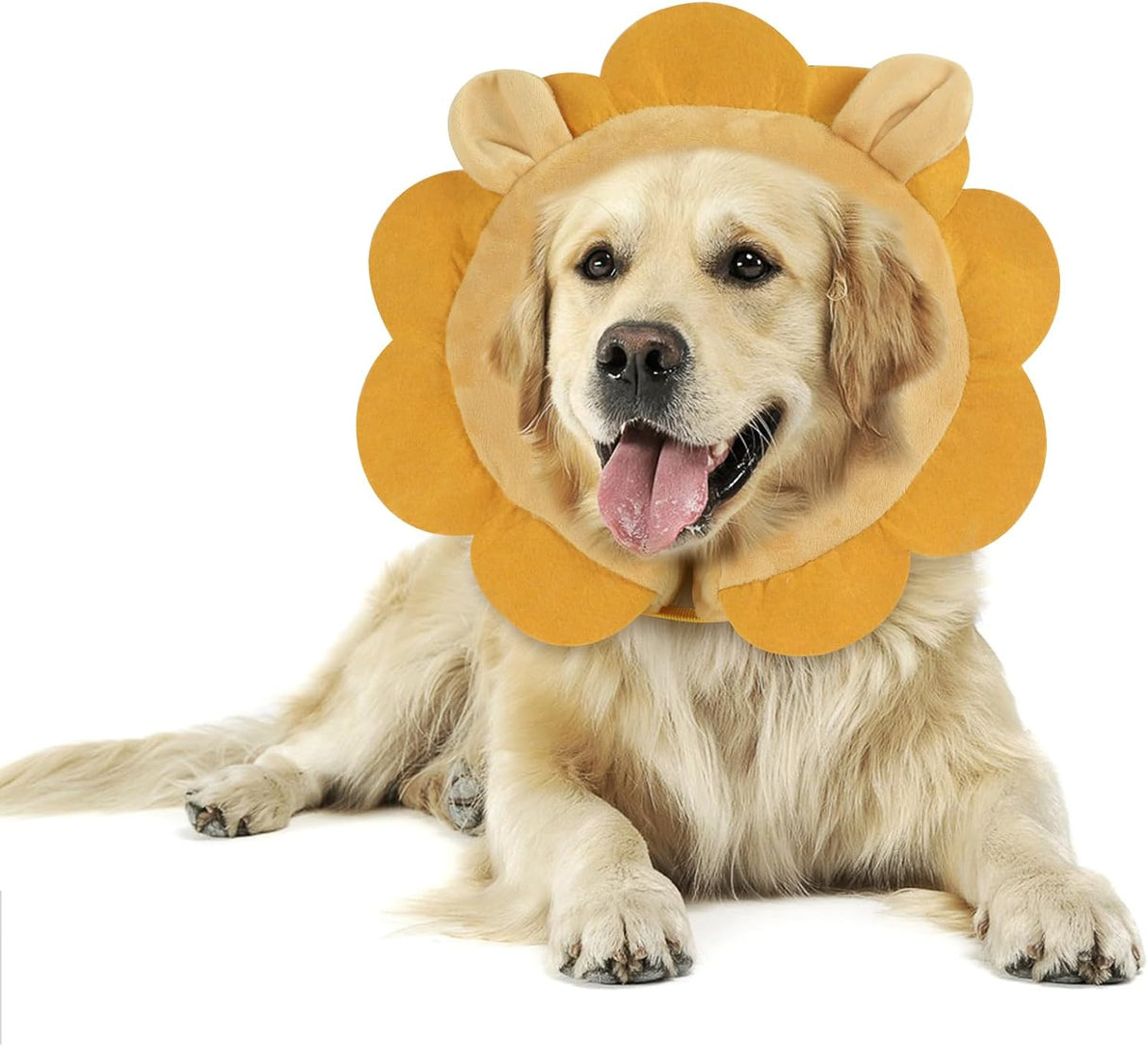 IEUUMLER Inflatable Recovery Dog Collar Brown Lion LARGE