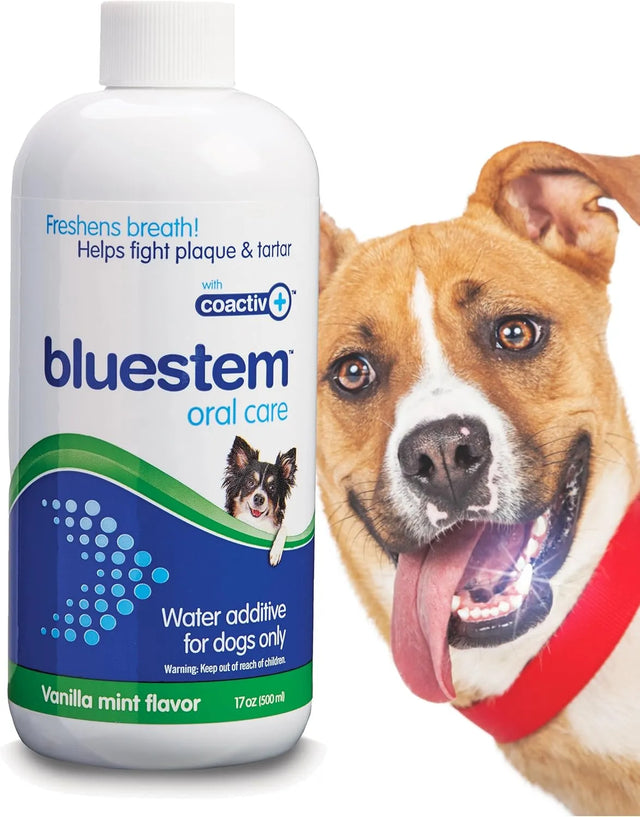 BLUESTEM - Bluestem Pet Water Additive Oral Care Dogs Only Vanilla Mint 500Ml. - The Red Vitamin MX - Cuidado Dental Para Perros - {{ shop.shopifyCountryName }}