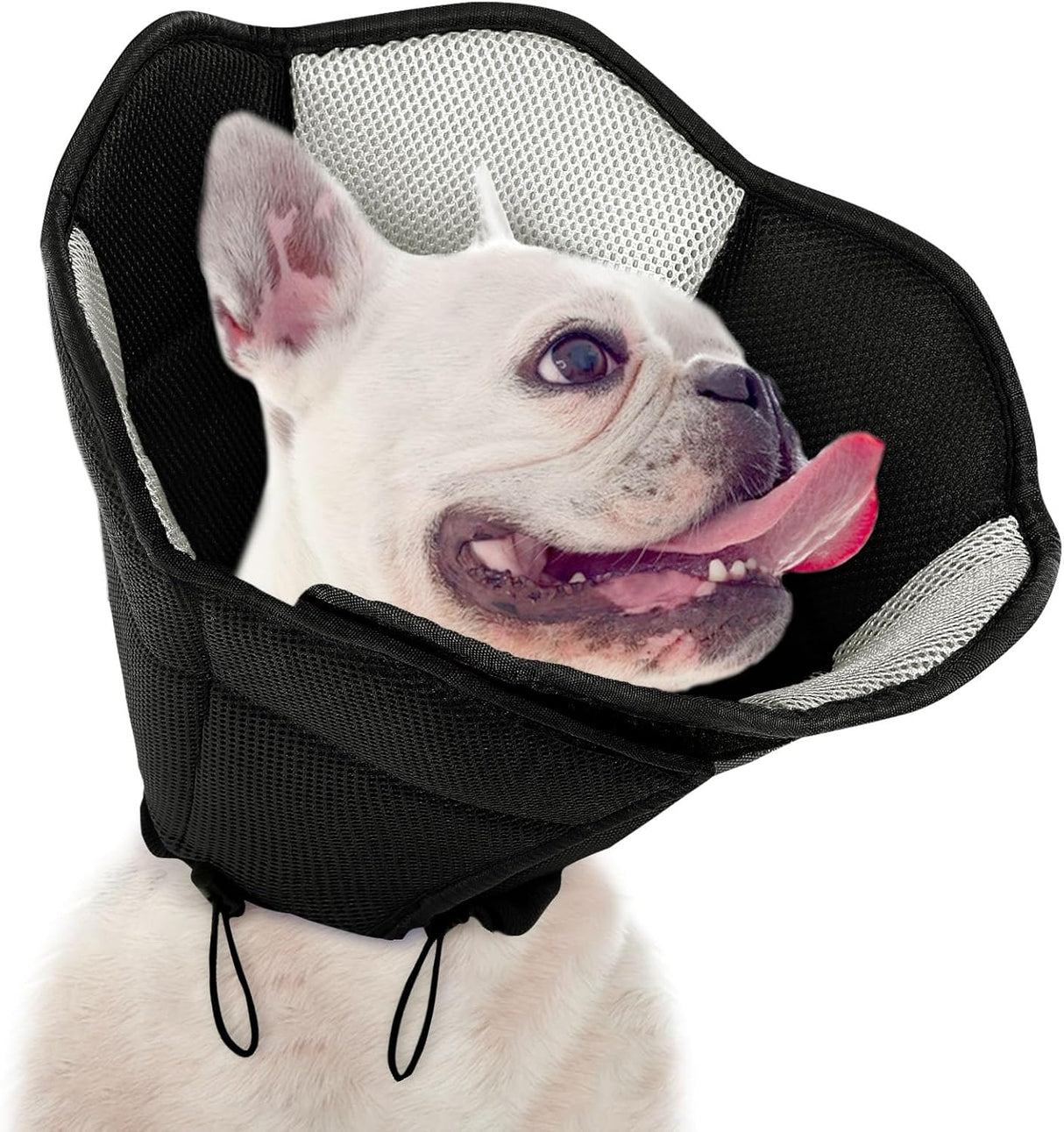SUNFURA Dog Cone BLACK MEDIUM