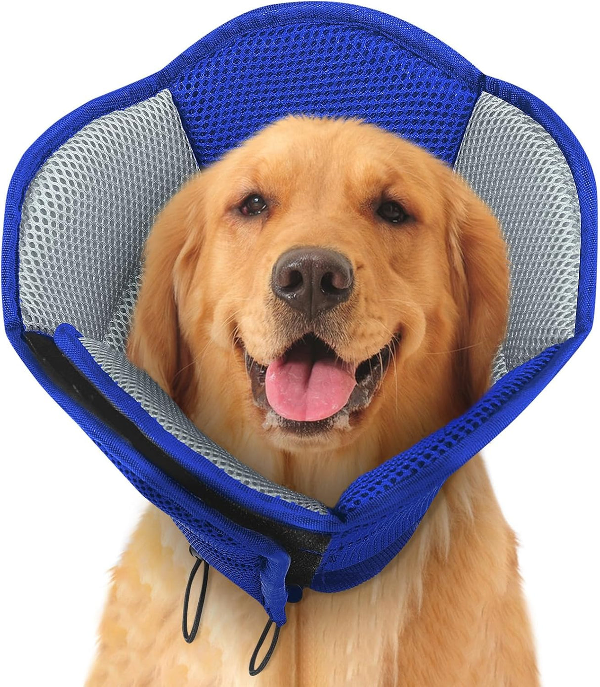 SUNFURA Dog Cone BLUE LARGE