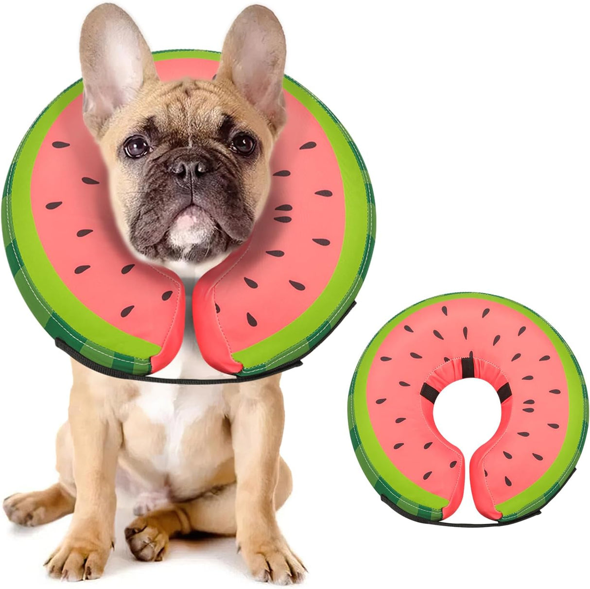 MIDOG Inflatable Dog Cone Collar Watermelon MEDIUM PLUS Neck 14"-18"